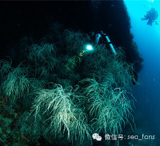 Raja Ampat - Ӱʮ